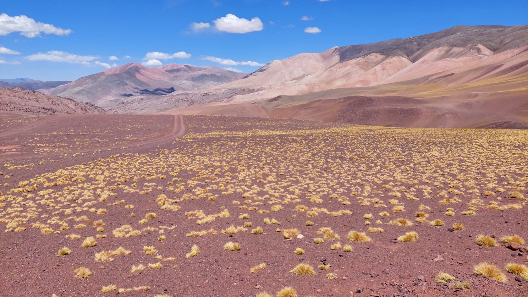 Camino a Laguna Brava — meseta de altura