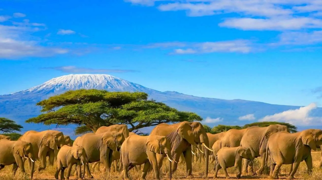 Amboseli