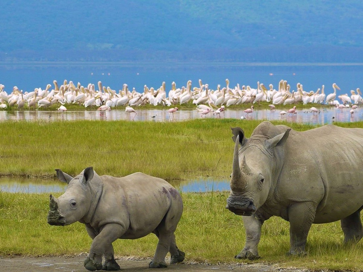Lago Nakuru