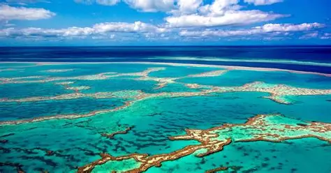 Gran Barrera de Coral