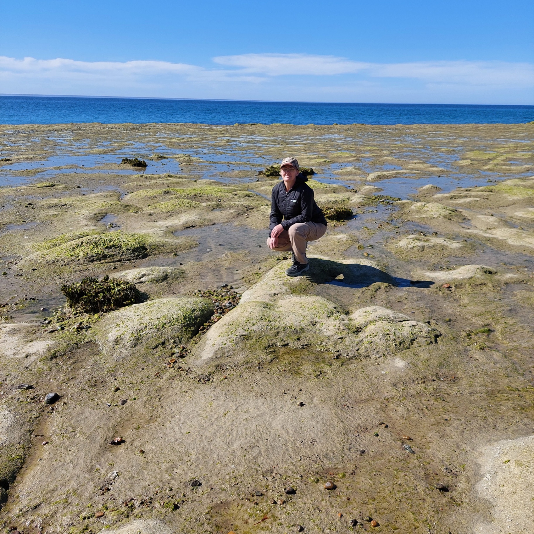 Costa Atlántica patagónica