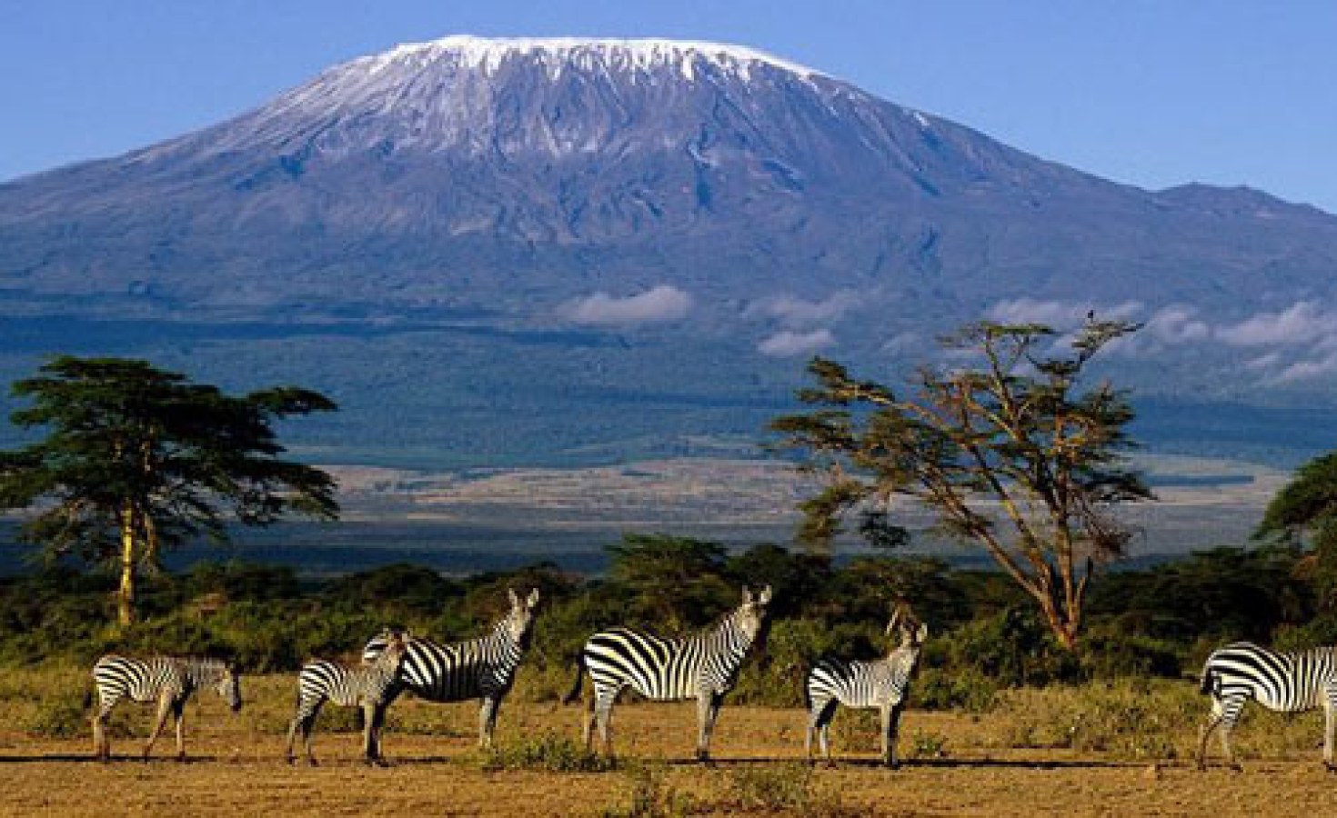Kilimanjaro