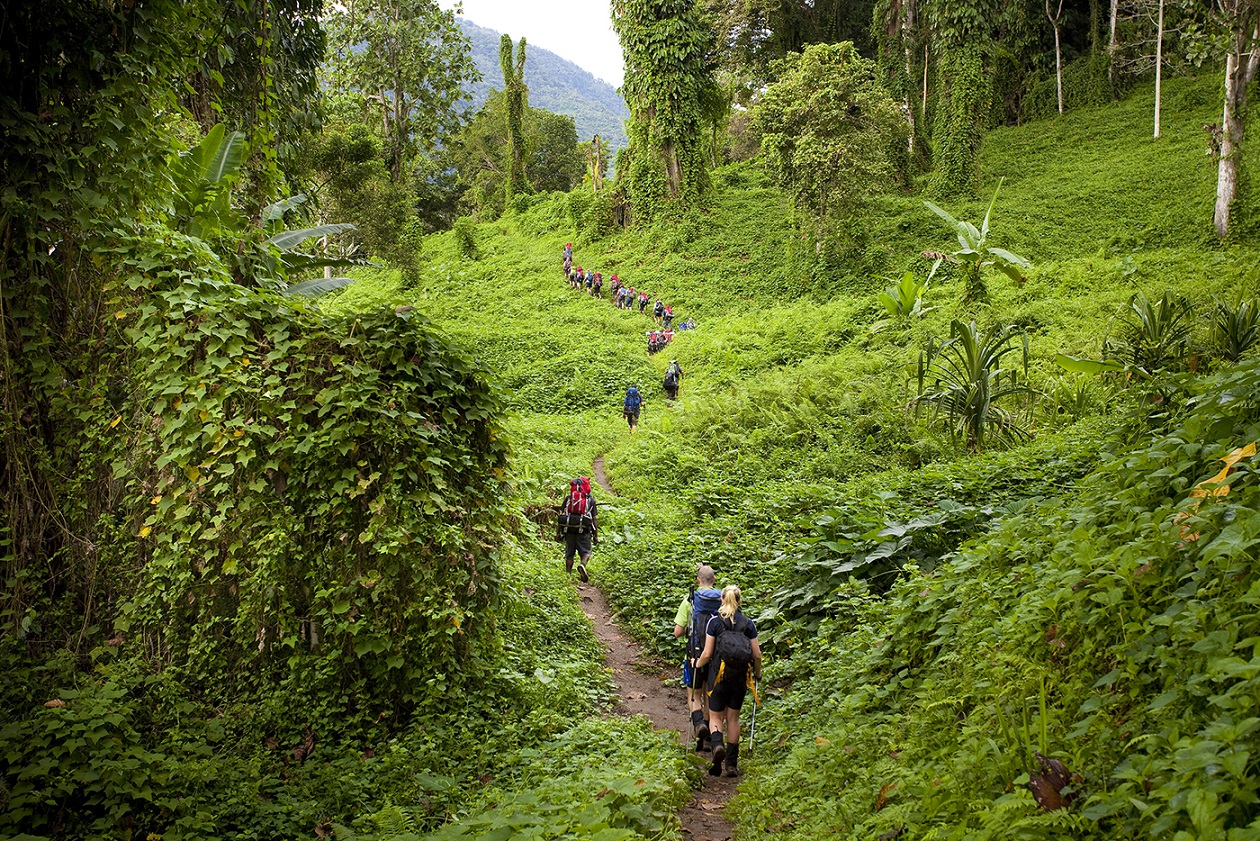Kokoda Trail