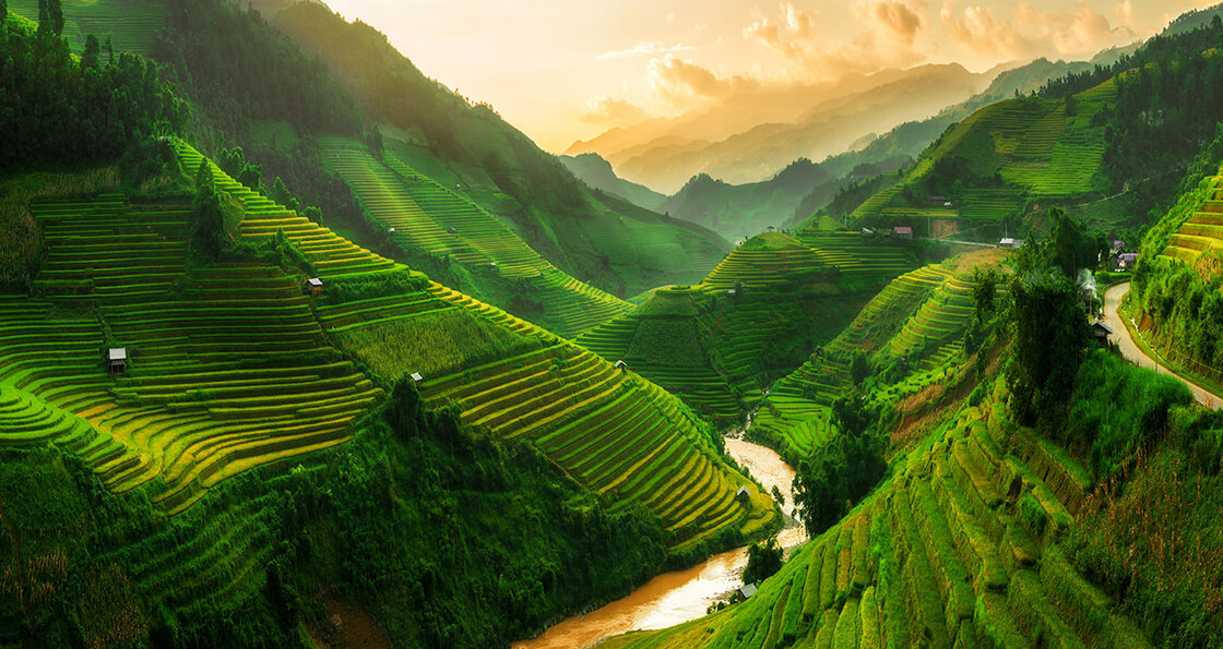 Sapa