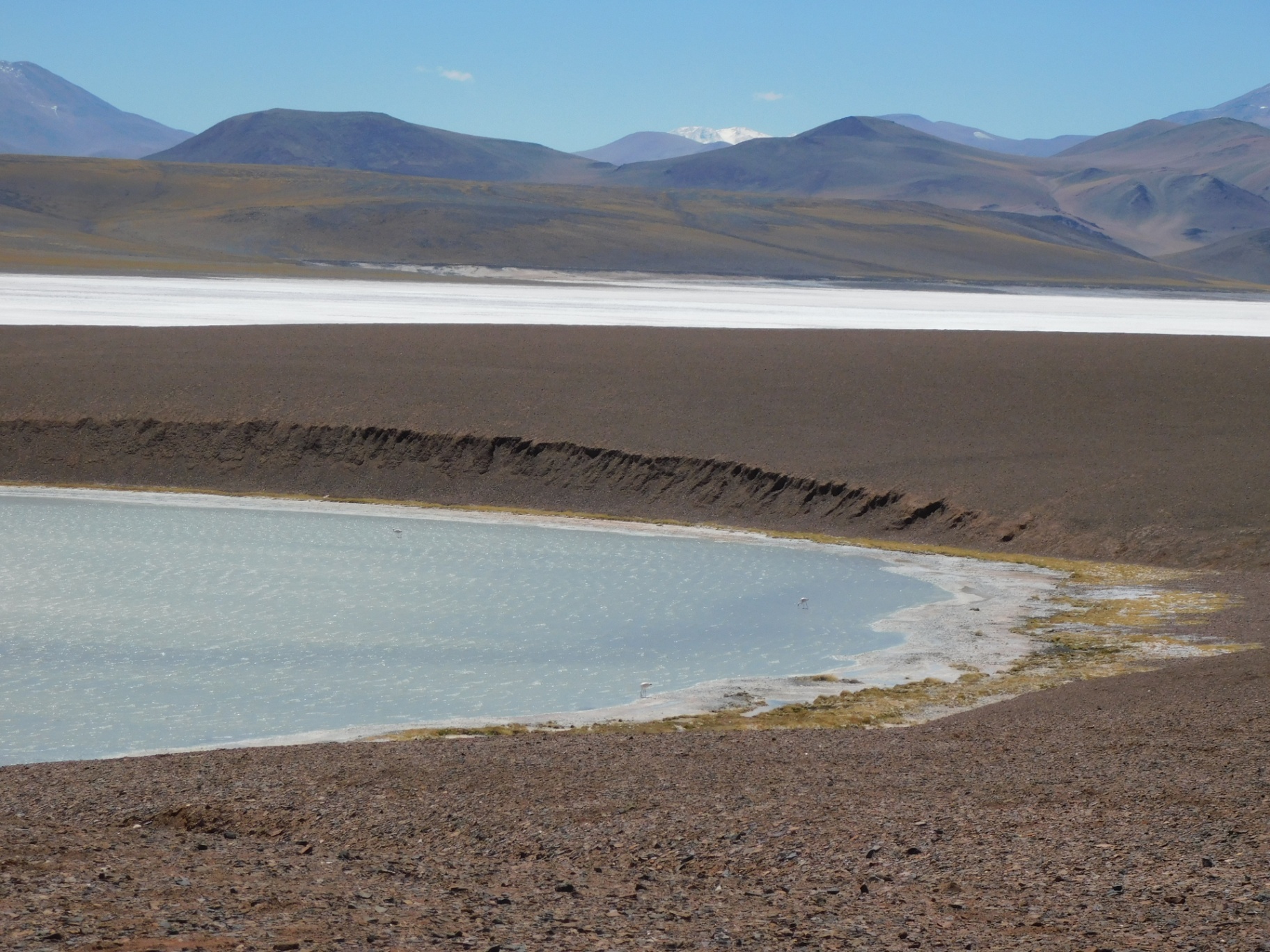 Laguna Brava